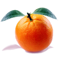 sycylijska pomarańcza